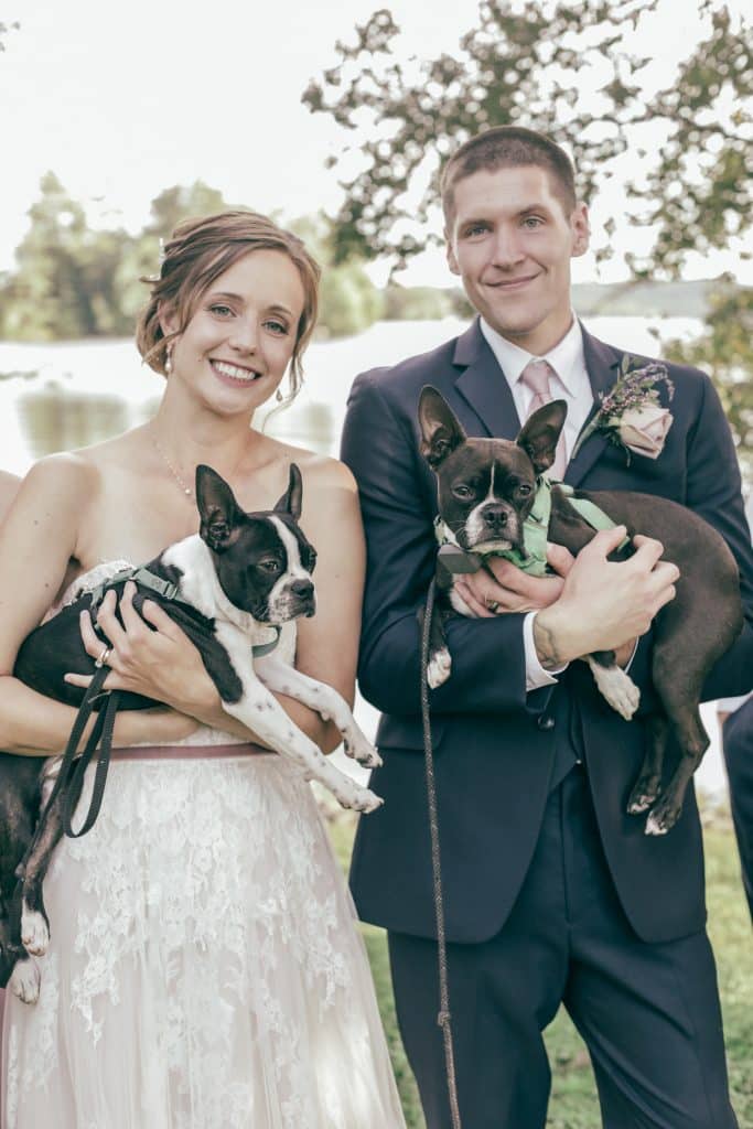 bride and groom holding puppies looking at the camera
