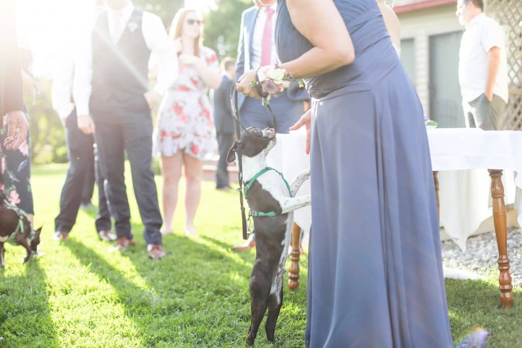 mother of the groom feeding the puppy a treat