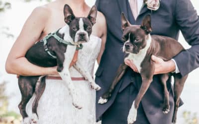 Pet Friendly Wedding Venues in Maine