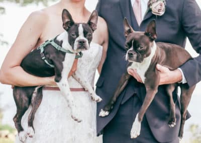 dogs at a maine wedding