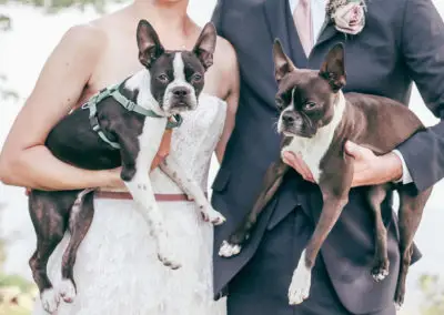 dogs at a maine wedding