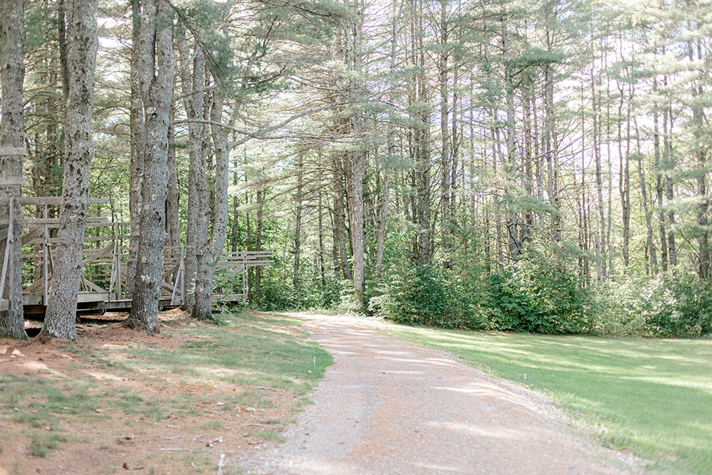 a Maine dirt road with pine trees on all sides