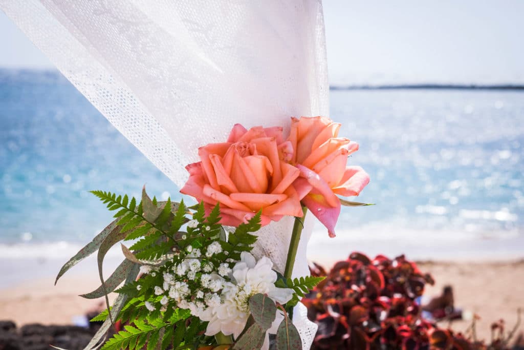 Tent Lighting, Coastal Maine Canopies