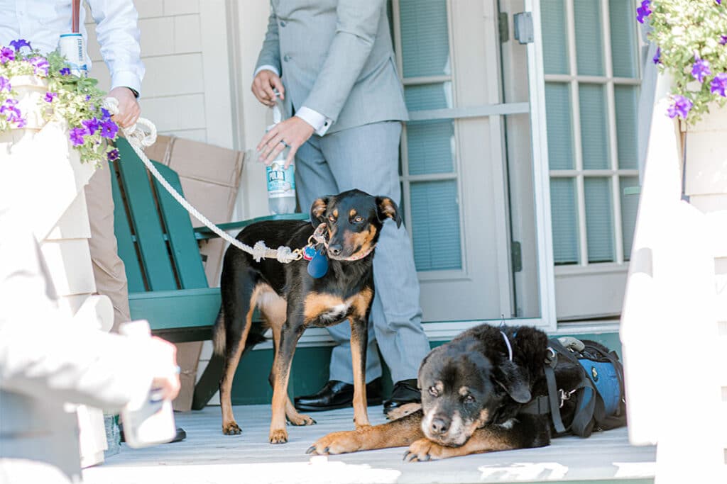 Spruce Point Inn Wedding Dogs - Pet Friendly wedding venue