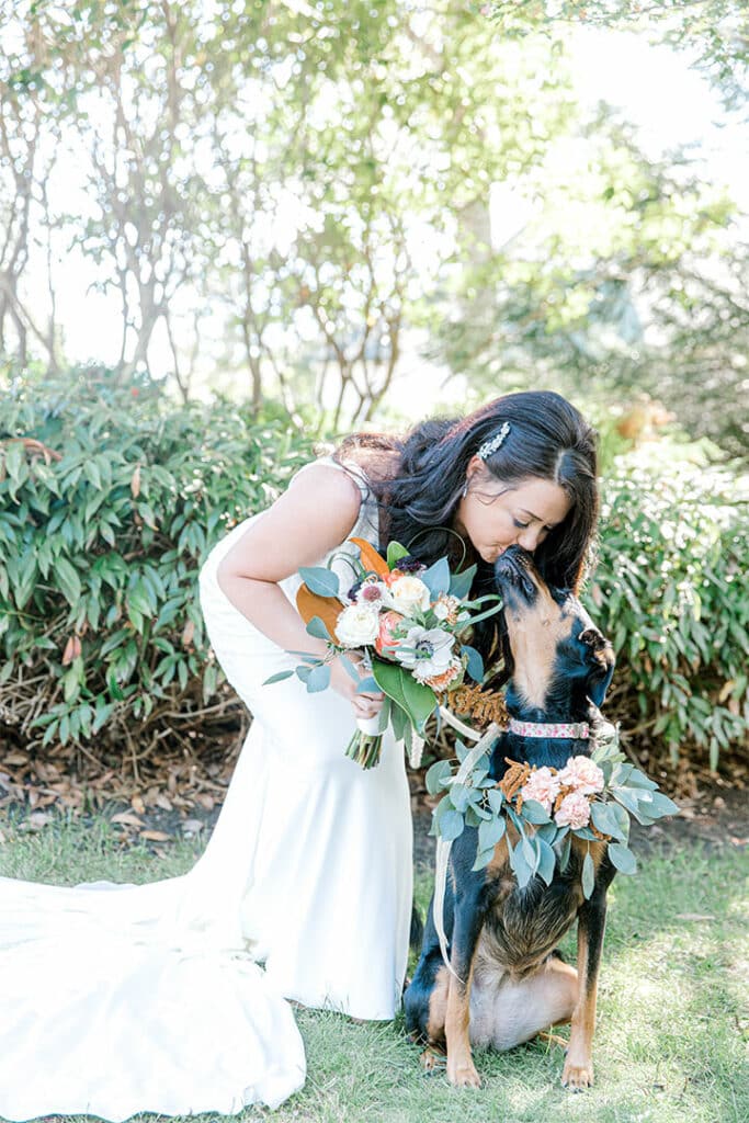 bride kissing dog at a spruce point inn wedding
